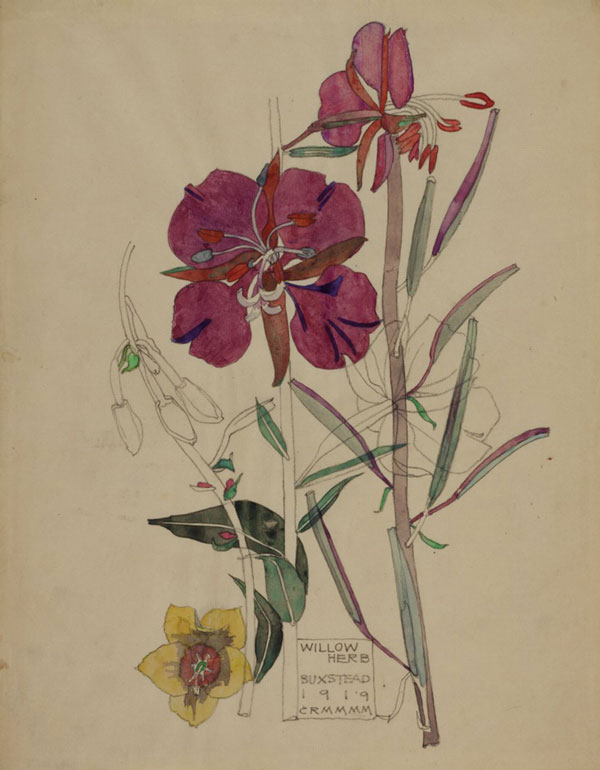 Watercolours by Charles Rennie Mackintosh