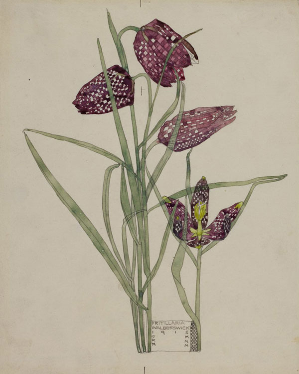 Watercolours by Charles Rennie Mackintosh